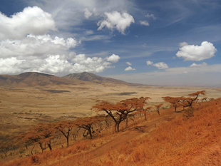 Ngorongoro Crater National Park - Ralph Pannell