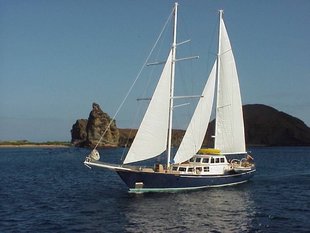 The Beagle Galapagos Sailing yacht wildlife marine life.JPG