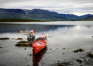 kayaks-summer-fjord-Geldinganes -sea-kayaking-iceland-reykjavik.jpg