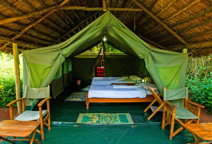 Tented Camp in Tanzania