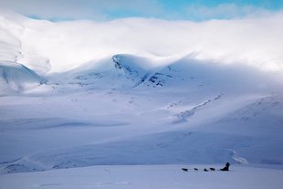 Dog Sledding in Spitsbergen