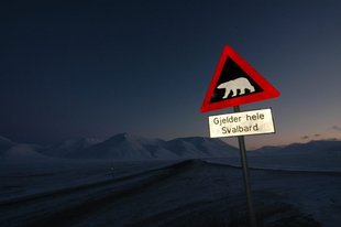 Beware of Polar Bears