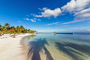 turneffe-atoll-mesoamerican-barrier-reef-caribbean-island-holiday-vacation-travel-photography-caye-kayaking-snorkelling-diving-scuba-dive-honeymoon-island-lodge-hotel-belize.jpg