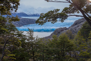 Glaciar Grey patagionia torres del paine.jpg