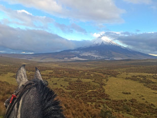 On a Longer Riding Trail to Cotopaxi Volcano