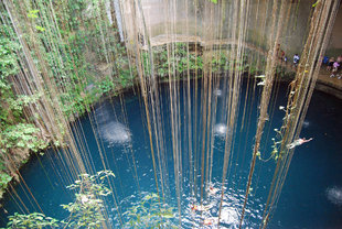 A Typical Cenote in Mexico