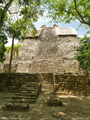 Steps leading up a pre-Mayan Omteca pyramid