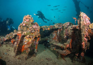 Wreck Diving in the Maldives South Central Atolls Dive Liveaboard