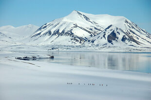 arctic-spring-sailing-voyage-hike-sail-hiking-snowshoeing-ski-spitsbergen-may-rembrandt-philipp-schaudy.jpeg