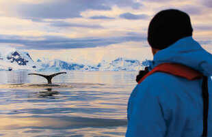 zodiac-cruising-whale-tail-antarctica-semi-circumnavigation-cruise-henseatic-inspiration.jpg