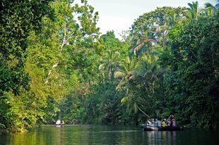 Exploring the Sepik River in Papua New Guinea