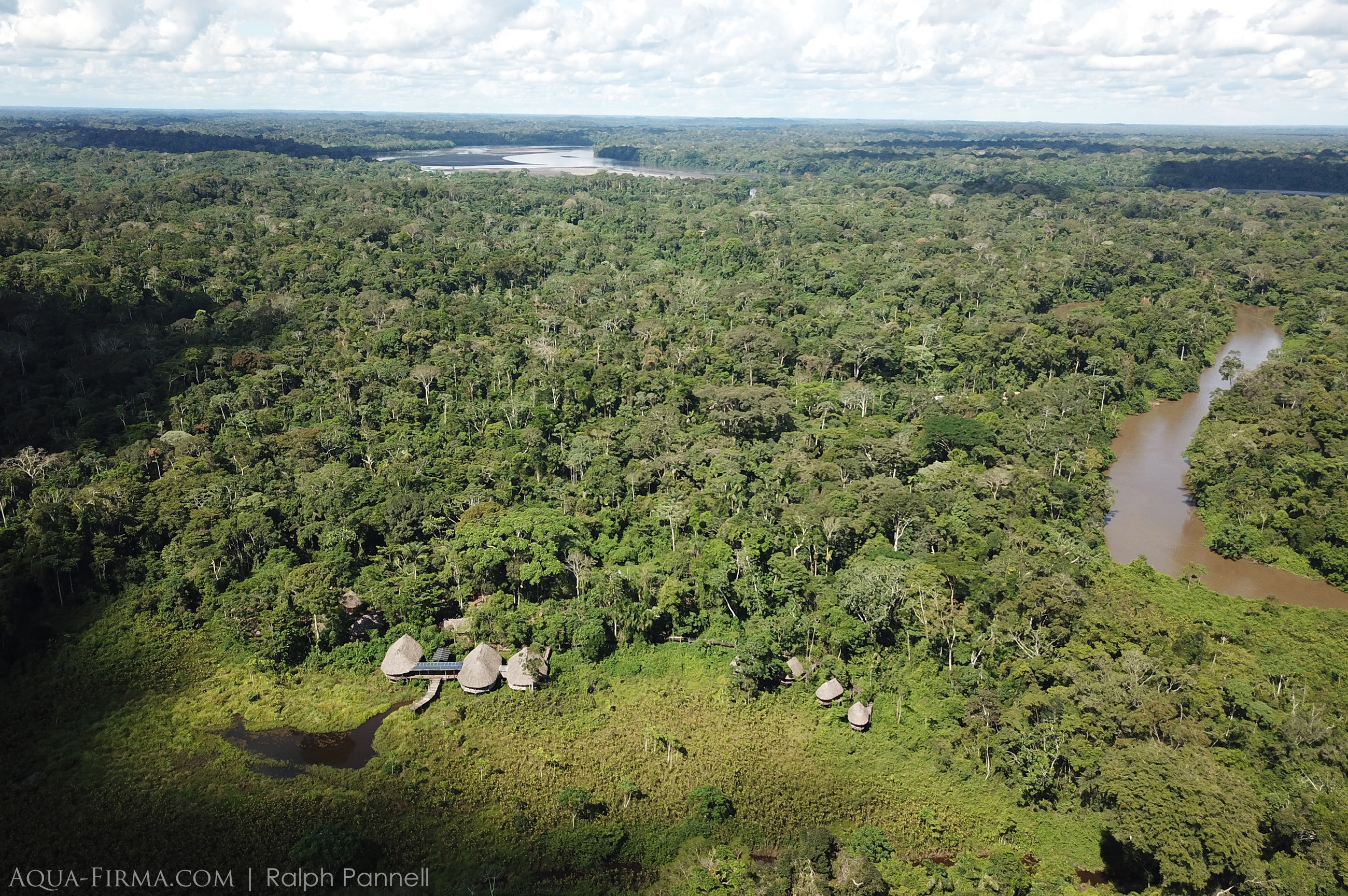 Amazon rainforest Pastaza River Ecuador kapawi