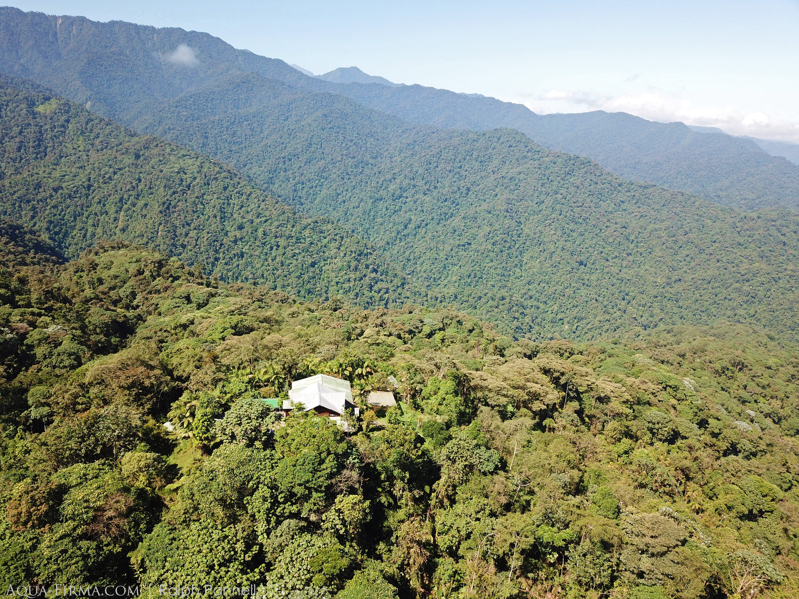 Choco-Andean Rainforest Corridor Ecuador