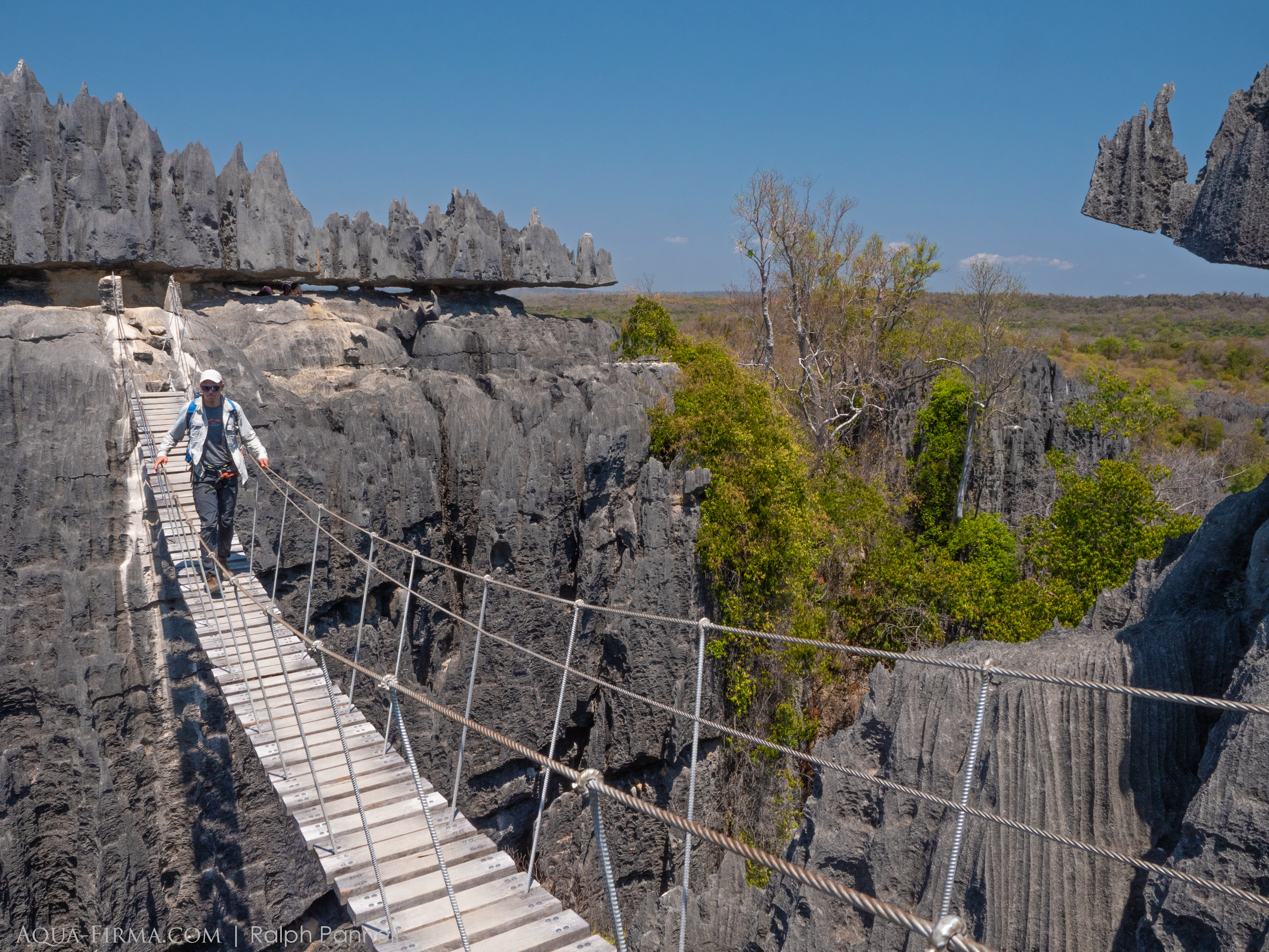 Rope Bridge across Grand Tsingy Bemaraha Madagascar