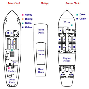 Cachalote - Deck Plan & Specifications