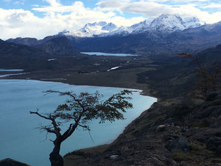 Walking-pumas-Estancia-argentina-patagonia-trekking-hotel-accommodation-el-calafate-perito-moreno-wildlife.jpg
