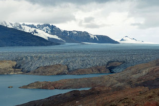 Upsala-Glacier-Estancia-horse-riding-argentina-patagonia-trekking-hotel-accommodation-el-calafate-perito-moreno-wildlife.jpg