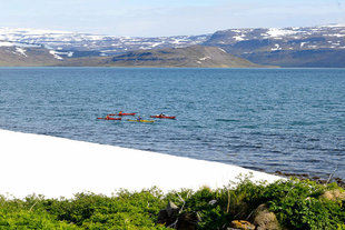 kayaking-glacier-wilderness-fjord-adventure-wildlife-hiking-birdlife-holiday.jpg