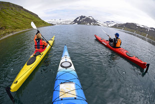 kayaking-wilderness-wildlife-holiday-iceland-whales-fox-puffin-paddle-kayak-seal.jpg