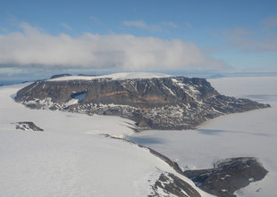 Snow Hill Emperor Colony Antarctica