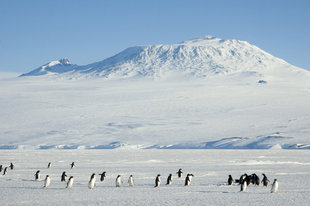 Mount Erebus, Ross-Island