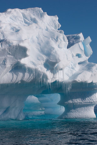 Iceberg Antarctica, Duncan Young