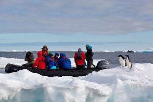 Zodiac Crusing & Penguins