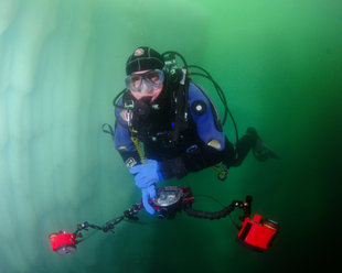 Diver Antarctica