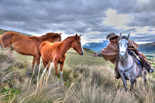 Horseback beneath the Cotopaxi Volcani, Andes of Ecuador