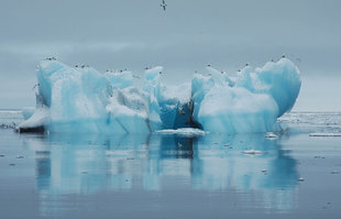 Iceberg in Spitsbergen