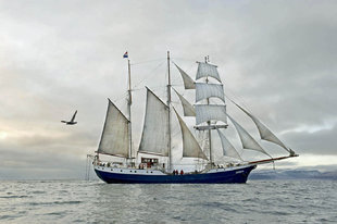 Arctic Sailing in Svalbard (Spitsbergen) - photography by Arjan Bronkhorst