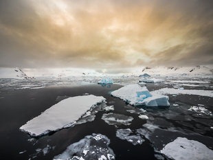 Icebergs Antarctica