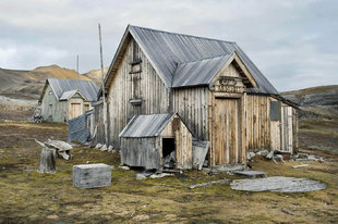 Camp Mansfield - Arjan Bronkhorst