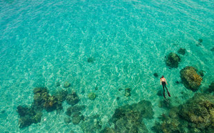 Snorkelling in northern Madagascar - Dr Simon Pierce MMF - Nosy Tanikely