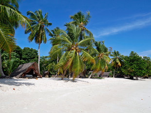 Tented Camp on Nosy Iranja