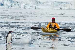 Kayaking with penguins in Antarctica - Daisy Gilardini