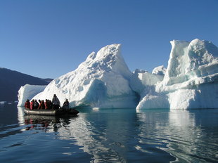 Rib gliding past icerbeg in Greenland, Charlotte Caffrey