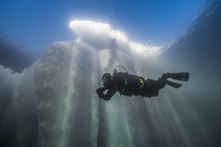 Diver in Greenland, Scoresby Sund Alexander Kassler