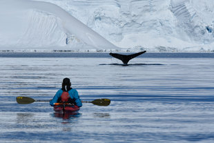 Kayaker aand Whale Tail Antarctica