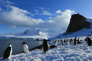 Half Moon Island Weddell Sea