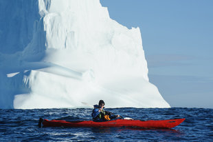 Kayaking through Icebergs in Greenland, Sandra Petrowitz