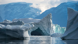 Icebergs in Greenland