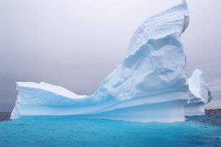 iceberg-antarctic-peninsula-voyage-wildlife-wilderness-landscapes-polar.jpg