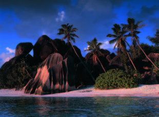 Seychelles Beach