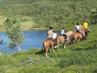 Horse Riding, Lyngen Alps Northern Norway