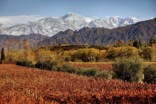 mendoza-patagonia-wine-region-argentina.jpg