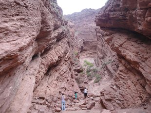 salta-mountains-trekking-argentina.jpg