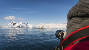 Falklands, South Georgia, Ant Peninsula © Fotografie Dietmar Denger-Oceanwide Expeditions275.jpg.jpeg