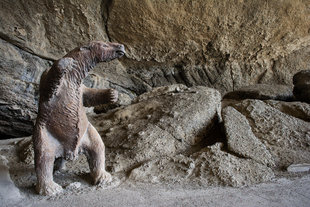 giant-sloth-patagonia-chile-torres-del-paine-puerto-natales-wilderness.jpg