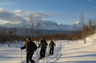 Snowshoe Walking Lyngen Alps Northern Norway